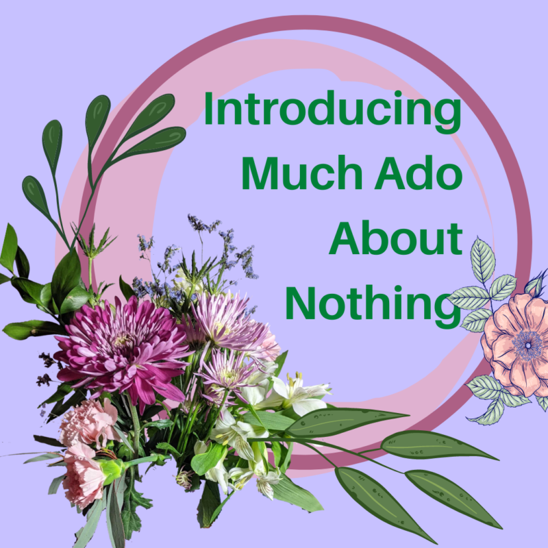 introducing-much-ado-about-nothing-with-play-on-shakespeare-davis